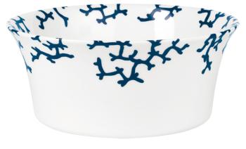Chinese salad bowl - Raynaud
